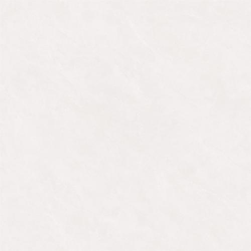 8TA869CPL